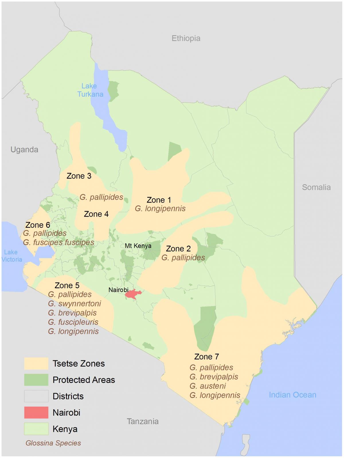 Kenia instituti për shqyrtimin dhe hartë e kurseve
