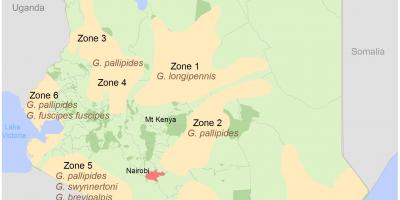Kenia instituti për shqyrtimin dhe hartë e kurseve