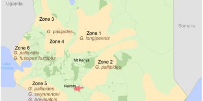 Kenia instituti për shqyrtimin dhe hartë e kurseve